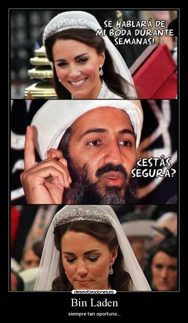 Bin Laden - siempre tan oportuno...