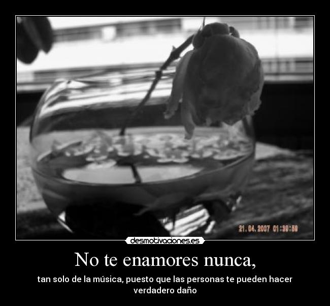 No te enamores nunca, -
