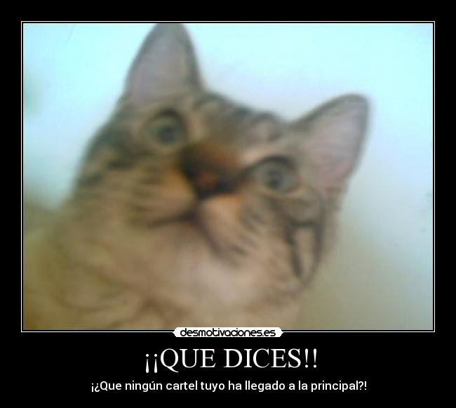 ¡¡QUE DICES!! - ¡¿Que ningún cartel tuyo ha llegado a la principal?!