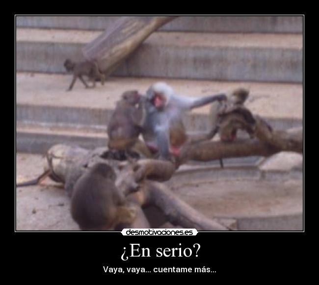 ¿En serio? - Vaya, vaya... cuentame más...