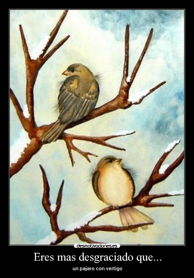 Eres mas desgraciado que... - un pajaro con vertigo