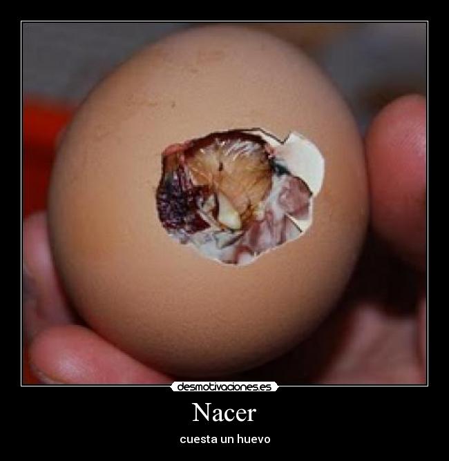 Nacer -