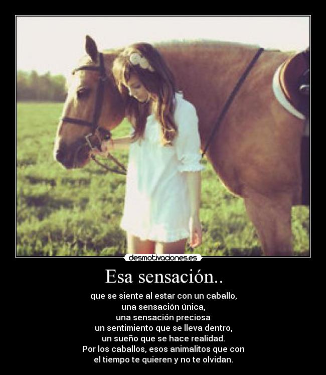 Esa sensación.. - que se siente al estar con un caballo,
una sensación única,
una sensación preciosa
un sentimiento que se lleva dentro,
un sueño que se hace realidad.
Por los caballos, esos animalitos que con
el tiempo te quieren y no te olvidan.