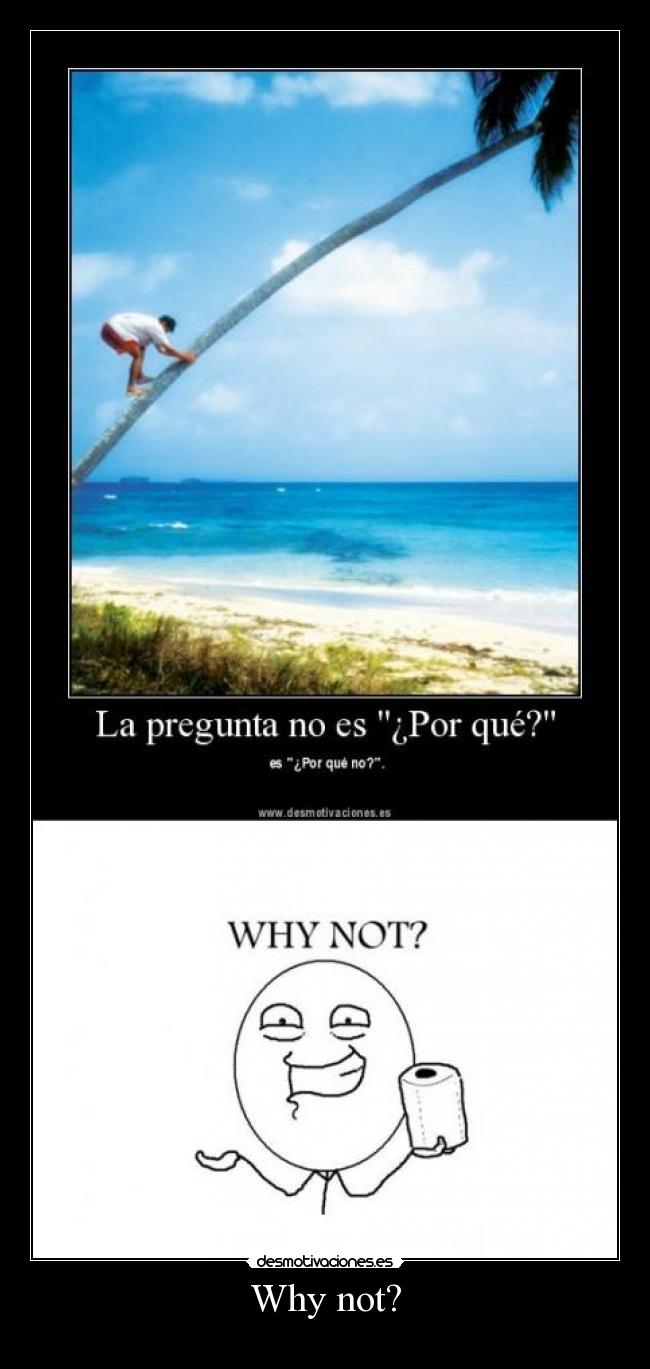 Why not? -