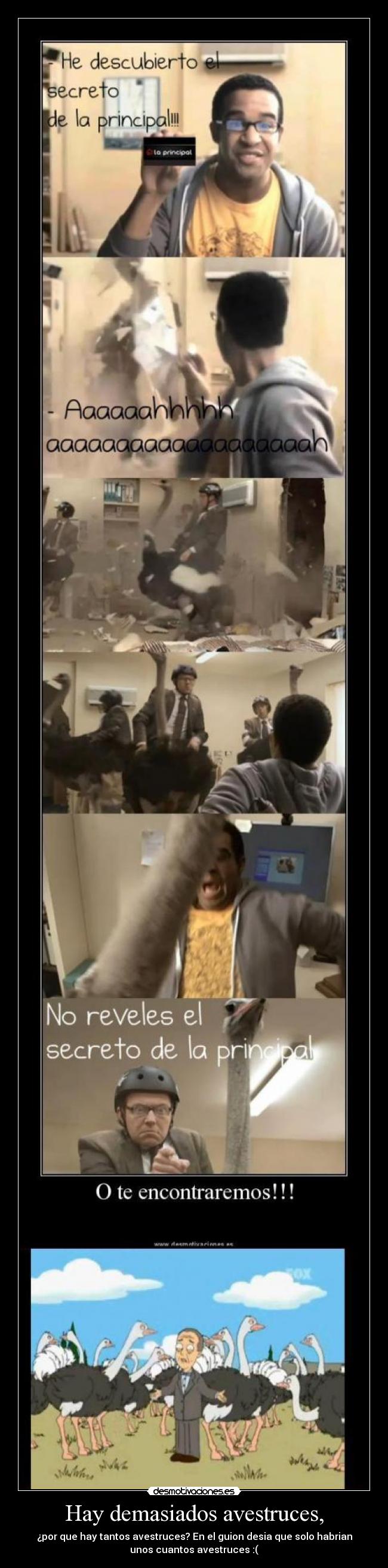 Hay demasiados avestruces, - ¿por que hay tantos avestruces? En el guion desia que solo habrian
unos cuantos avestruces :(