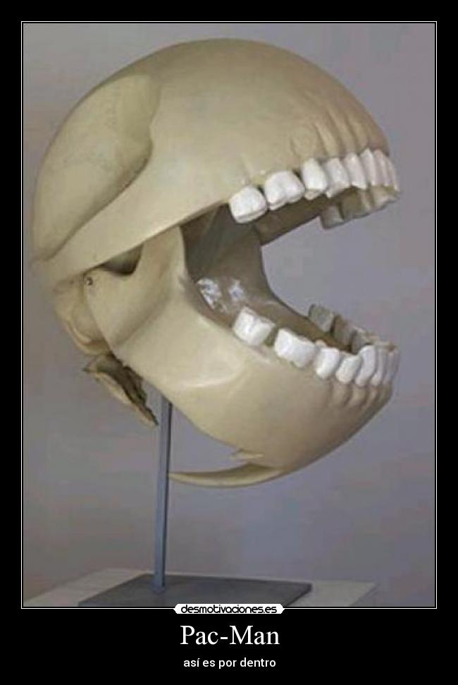 Pac-Man - así es por dentro