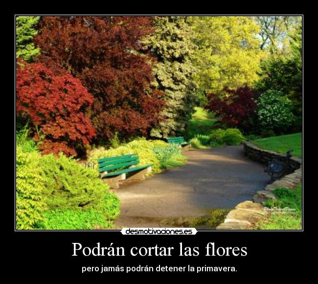 Podrán cortar las flores - pero jamás podrán detener la primavera.