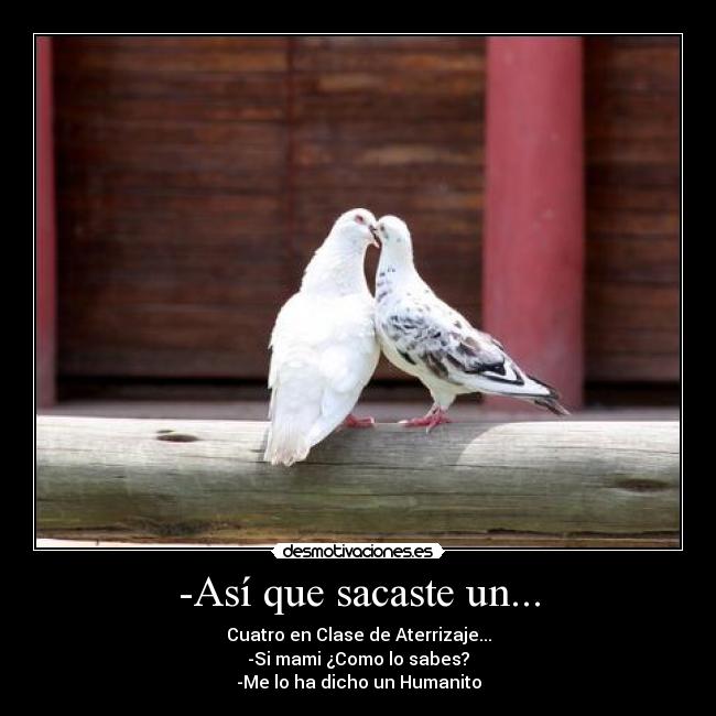 carteles jaby 284 desmotivaciones