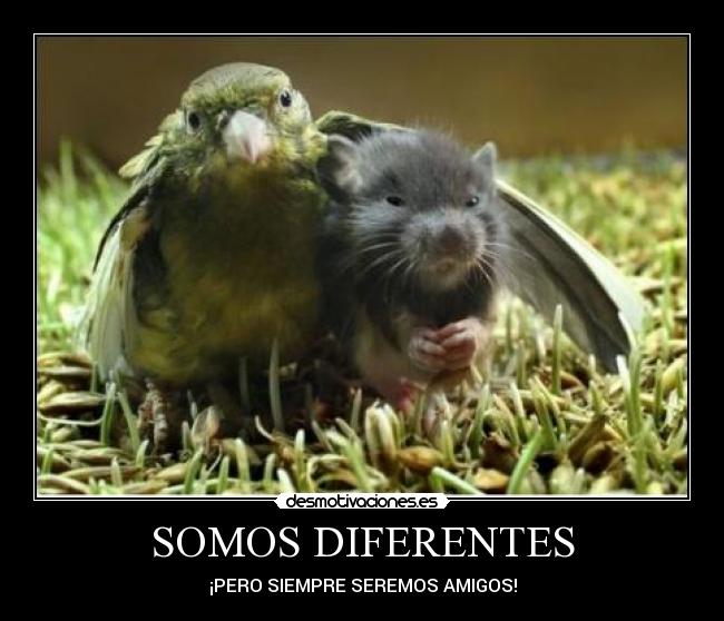 SOMOS DIFERENTES - ¡PERO SIEMPRE SEREMOS AMIGOS!