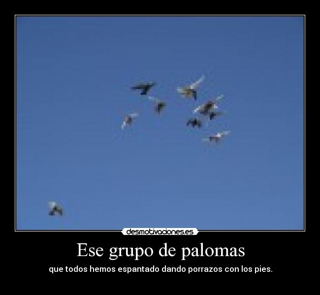 Ese grupo de palomas -
