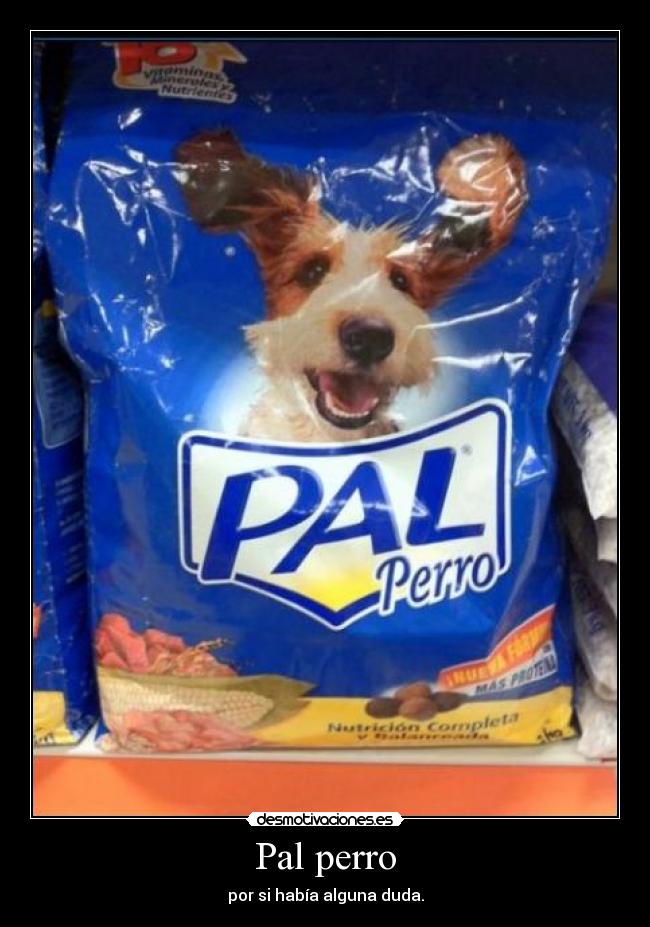 Pal perro - por si había alguna duda.