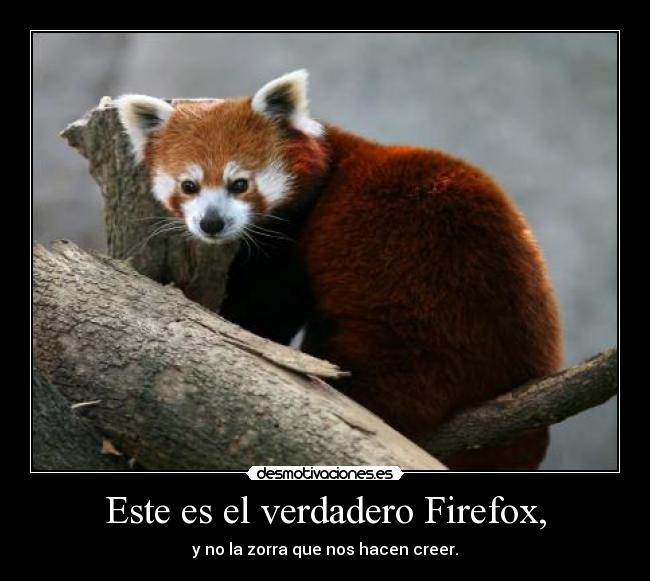 Este es el verdadero Firefox, - y no la zorra que nos hacen creer.