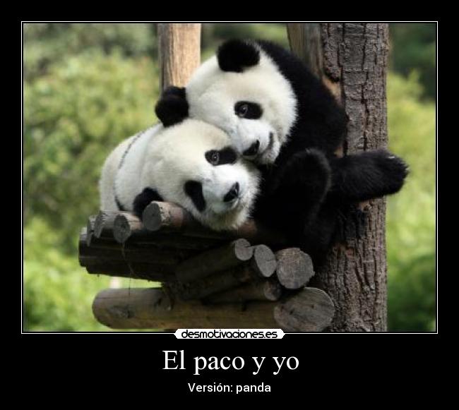 El paco y yo - Versión: panda