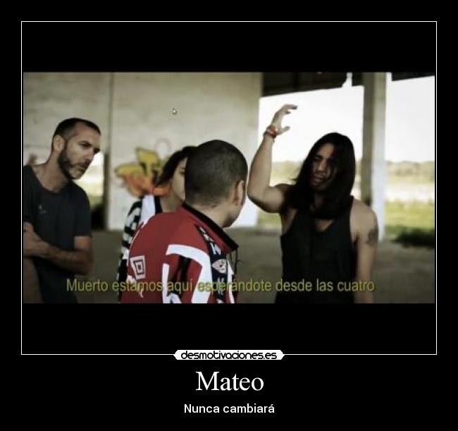 carteles mateo malviviendo gaviota desmotivaciones