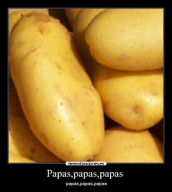 Papas,papas,papas - papas,papas,papas