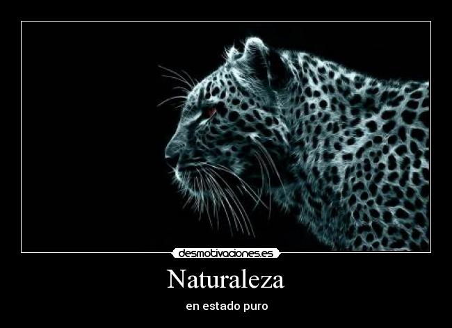 Naturaleza - en estado puro