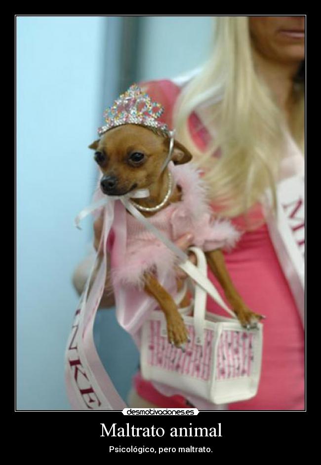 Maltrato animal - Psicológico, pero maltrato.