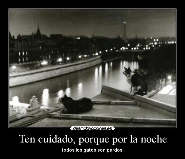 Ten cuidado, porque por la noche - todos los gatos son pardos.