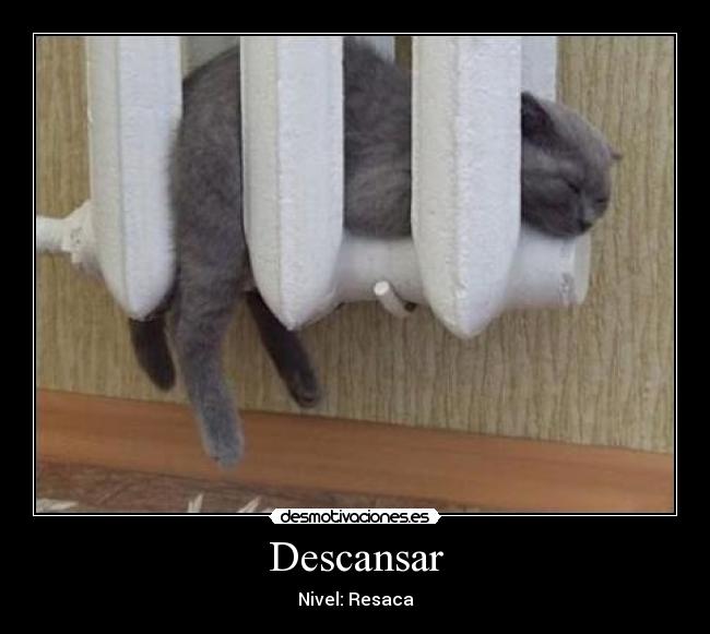 Descansar -