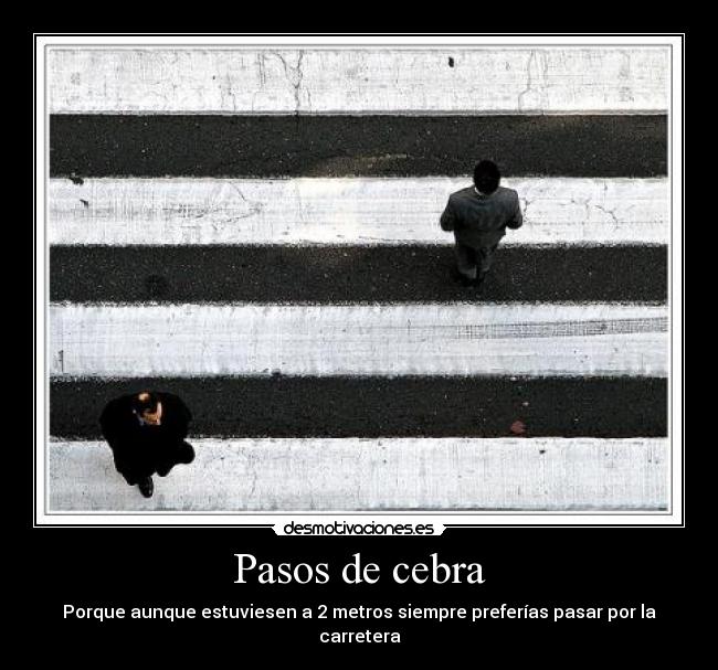 Pasos de cebra - Porque aunque estuviesen a 2 metros siempre preferías pasar por la carretera