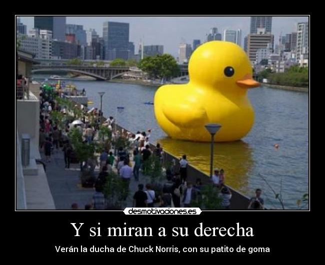 Y si miran a su derecha - 