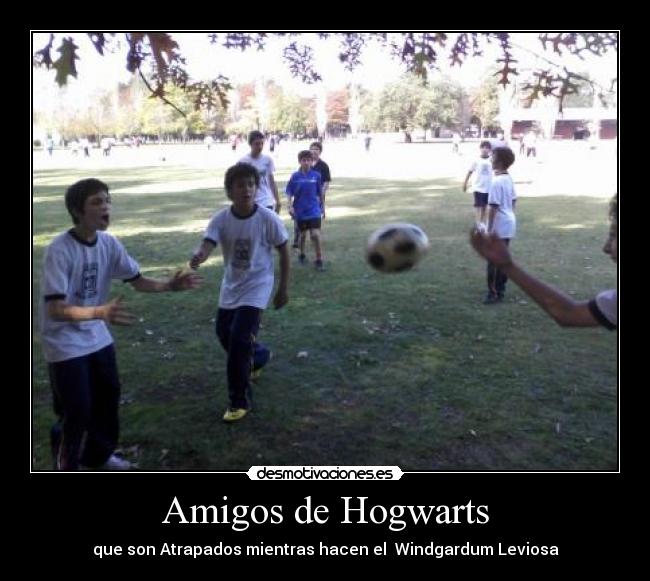 Amigos de Hogwarts - que son Atrapados mientras hacen el  Windgardum Leviosa