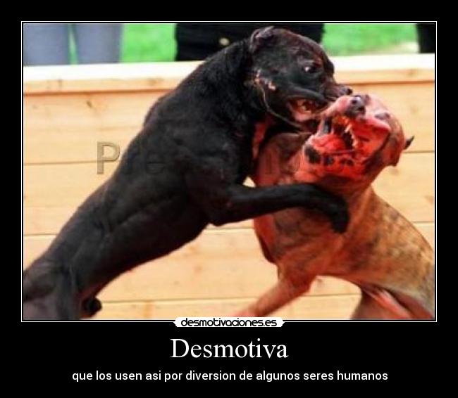 Desmotiva - 