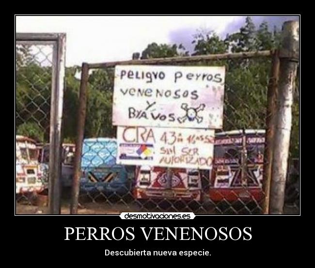 PERROS VENENOSOS -