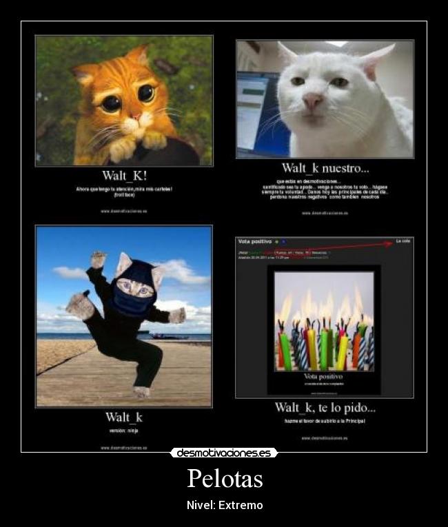 Pelotas - 