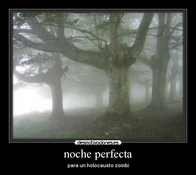 noche perfecta - 