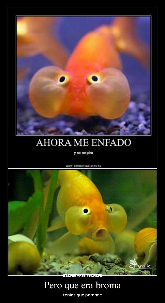 Pero que era broma - tenias que pararme