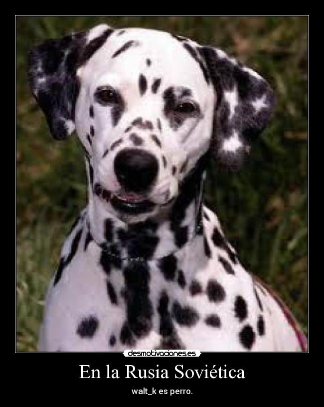 En la Rusia Soviética - walt_k es perro.