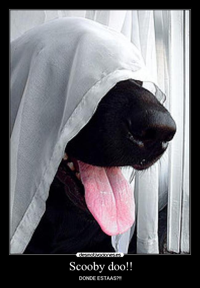 Scooby doo!! -
