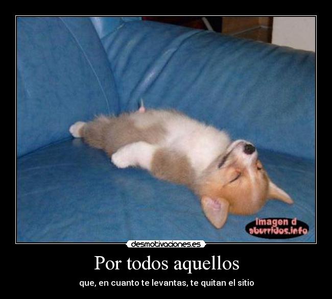 Por todos aquellos -