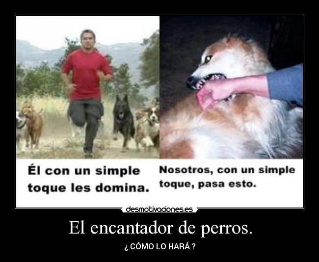 El encantador de perros. - ¿ CÓMO LO HARÁ ?