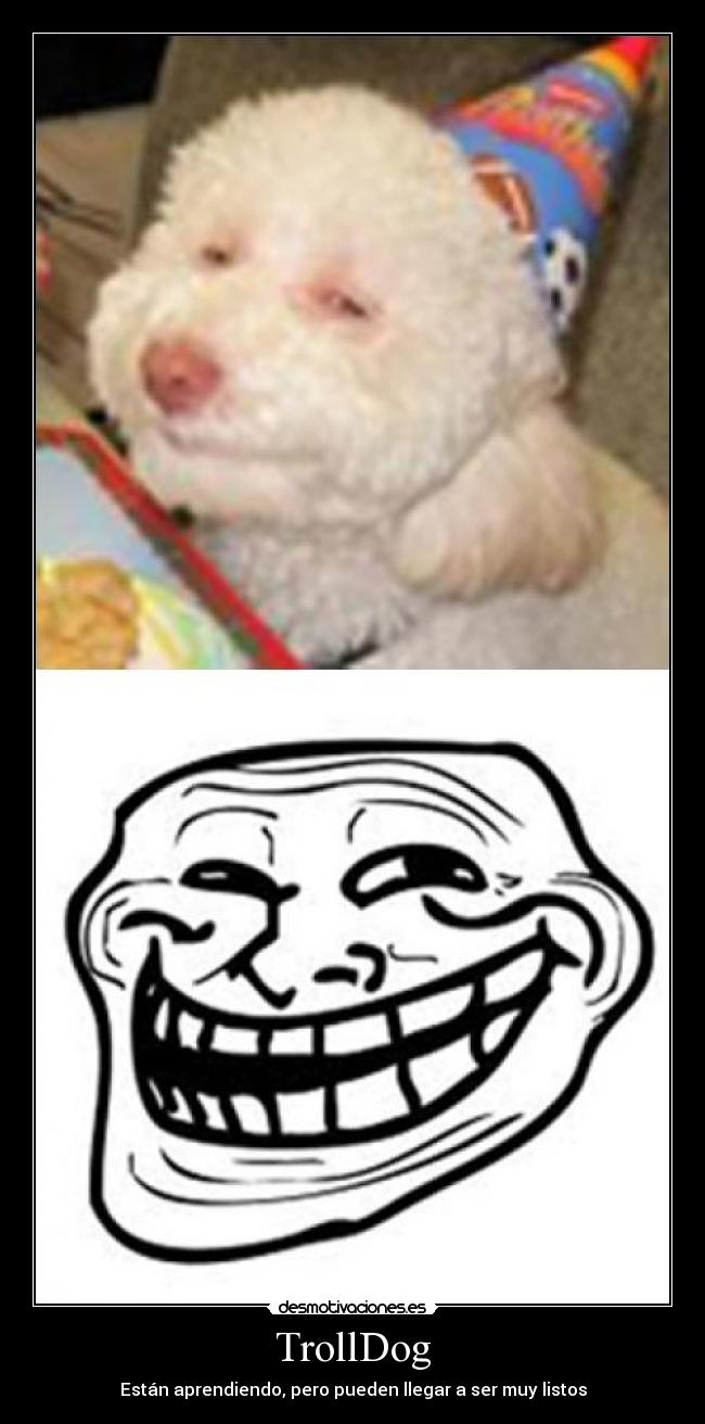 TrollDog -