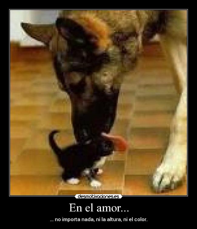 En el amor... - 