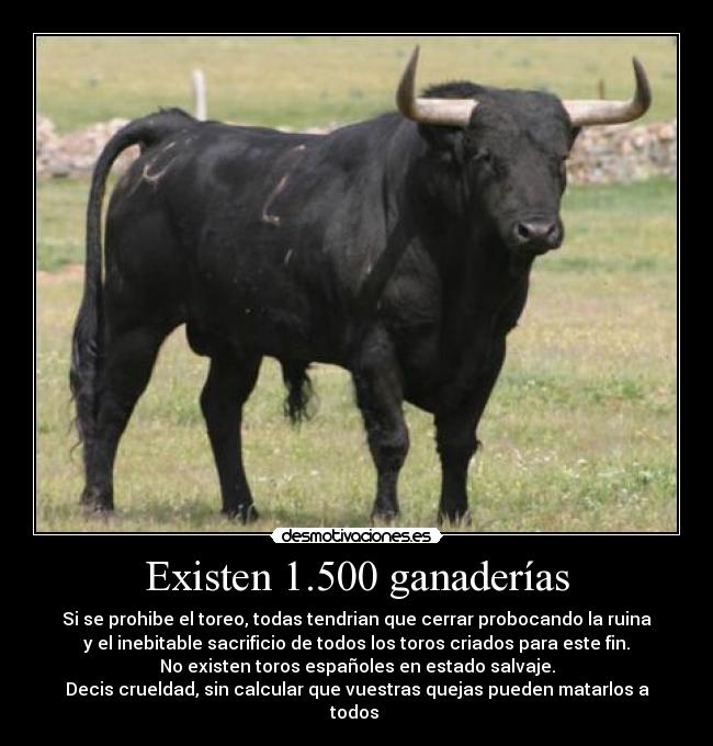 Existen 1.500 ganaderías - Si se prohibe el toreo, todas tendrian que cerrar probocando la ruina
y el inebitable sacrificio de todos los toros criados para este fin.
No existen toros españoles en estado salvaje.
Decis crueldad, sin calcular que vuestras quejas pueden matarlos a
todos 