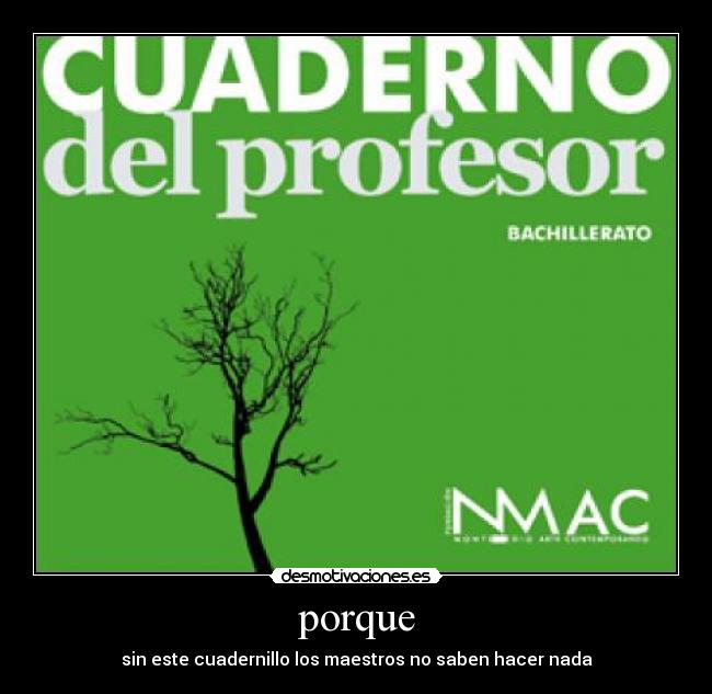 porque - sin este cuadernillo los maestros no saben hacer nada