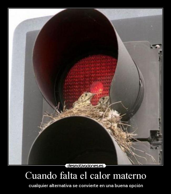 Cuando falta el calor materno -