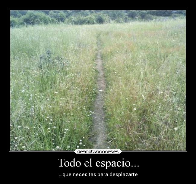 Todo el espacio... -