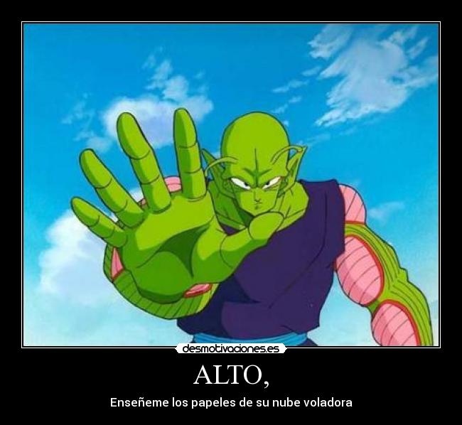 ALTO, - Enseñeme los papeles de su nube voladora