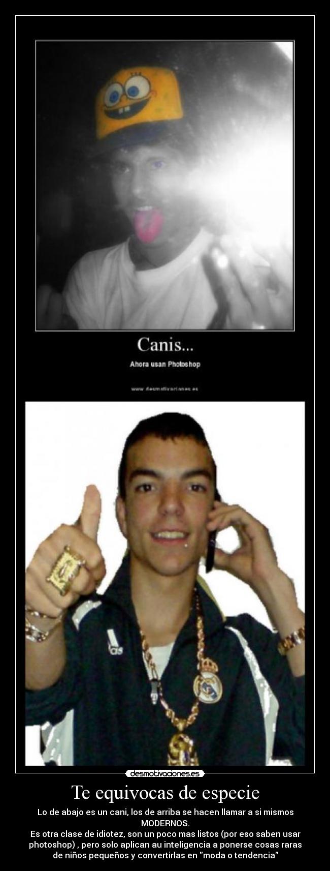 Te equivocas de especie - Lo de abajo es un cani, los de arriba se hacen llamar a si mismos
MODERNOS.
Es otra clase de idiotez, son un poco mas listos (por eso saben usar
photoshop) , pero solo aplican au inteligencia a ponerse cosas raras
de niños pequeños y convertirlas en moda o tendencia