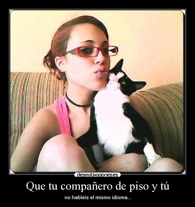 Que tu compañero de piso y tú -