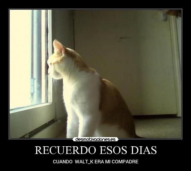 RECUERDO ESOS DIAS - CUANDO WALT_K ERA MI COMPADRE