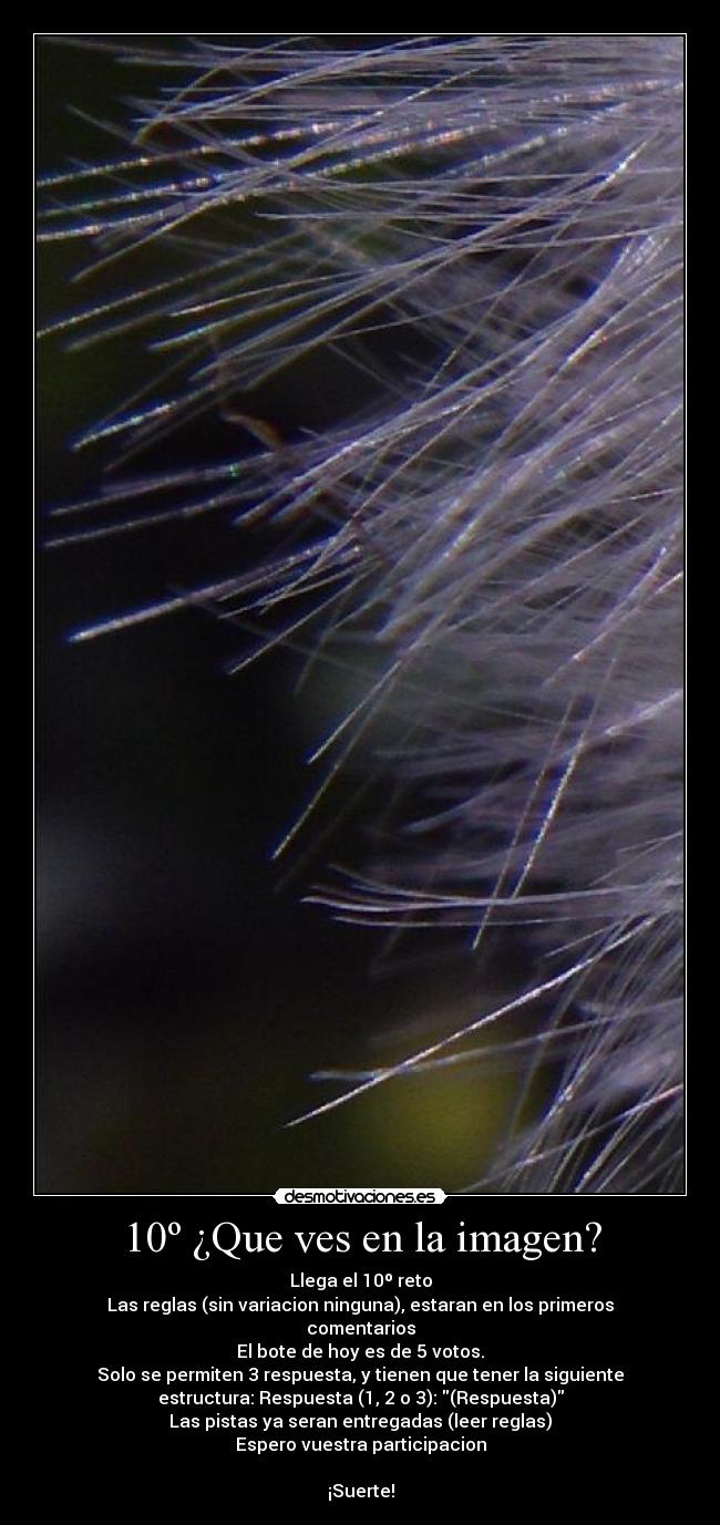 10º ¿Que ves en la imagen? - Llega el 10º reto
Las reglas (sin variacion ninguna), estaran en los primeros
comentarios
El bote de hoy es de 5 votos.
Solo se permiten 3 respuesta, y tienen que tener la siguiente
estructura: Respuesta (1, 2 o 3): (Respuesta)
Las pistas ya seran entregadas (leer reglas)
Espero vuestra participacion

¡Suerte!