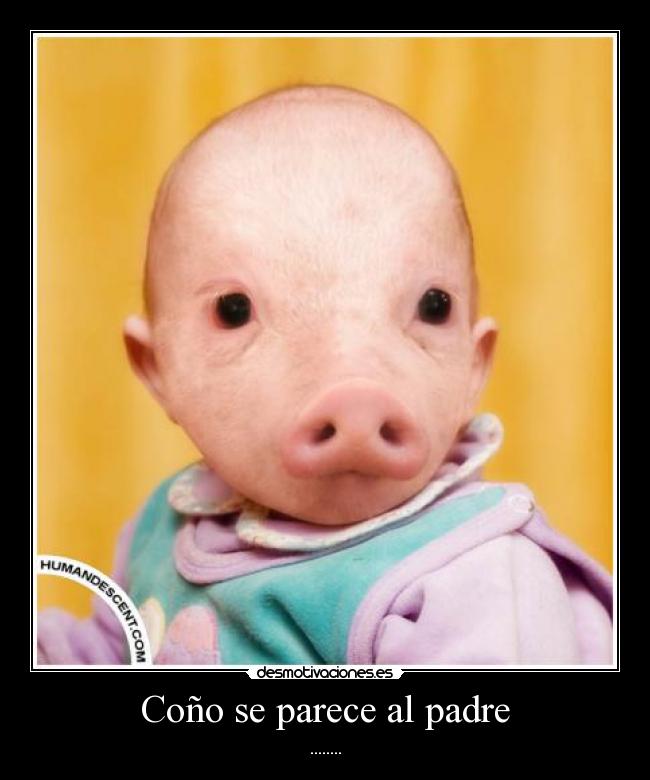 Coño se parece al padre -