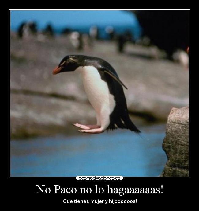 No Paco no lo hagaaaaaas! - 