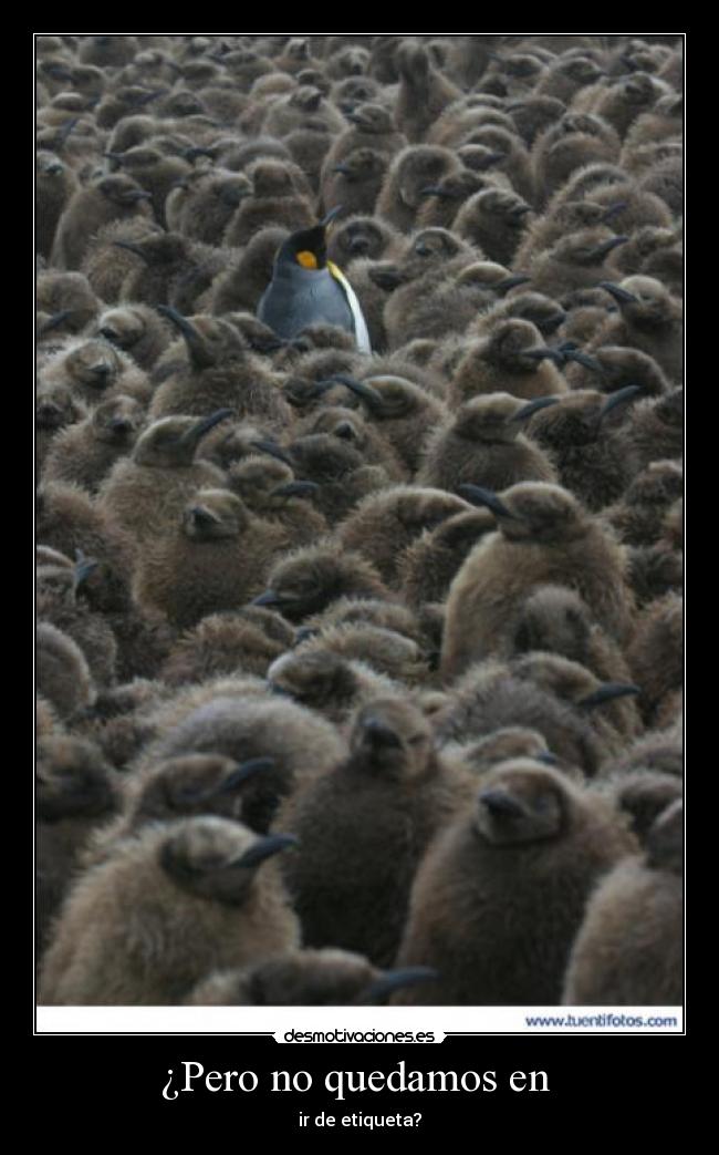 ¿Pero no quedamos en  - 