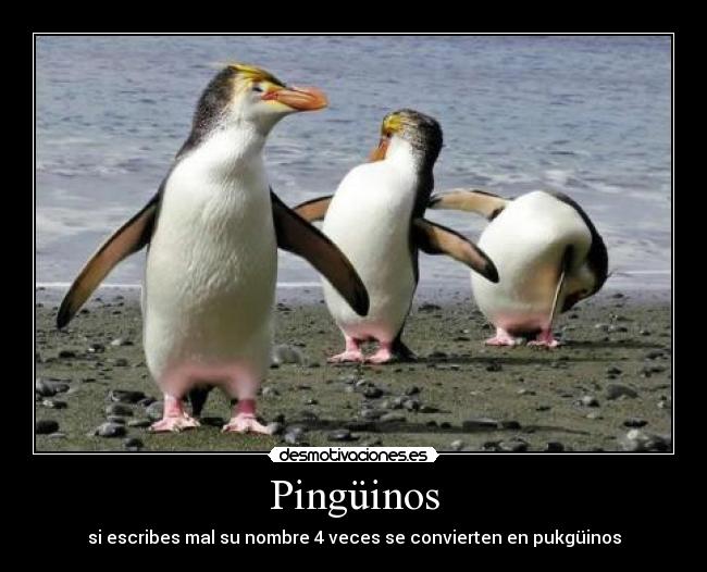 Pingüinos - si escribes mal su nombre 4 veces se convierten en pukgüinos